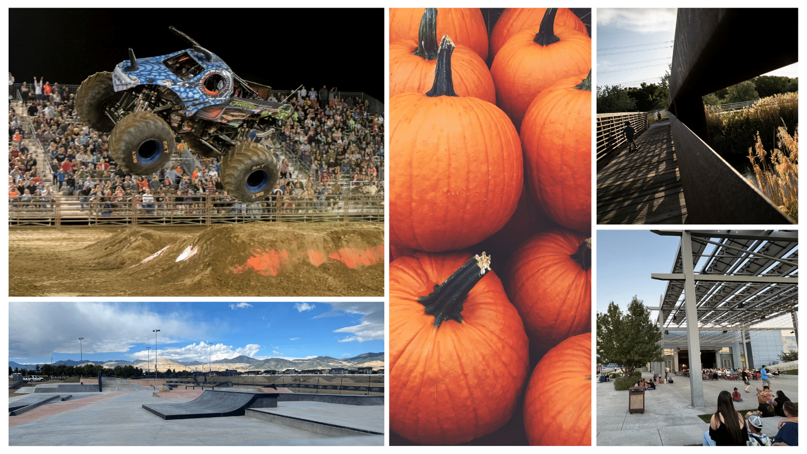 Collage of images: a monster truck jumping at a rally, a close-up of pumpkins, a modern walkway with plants, a skatepark under a blue sky, and people seated outside a building with a canopy.