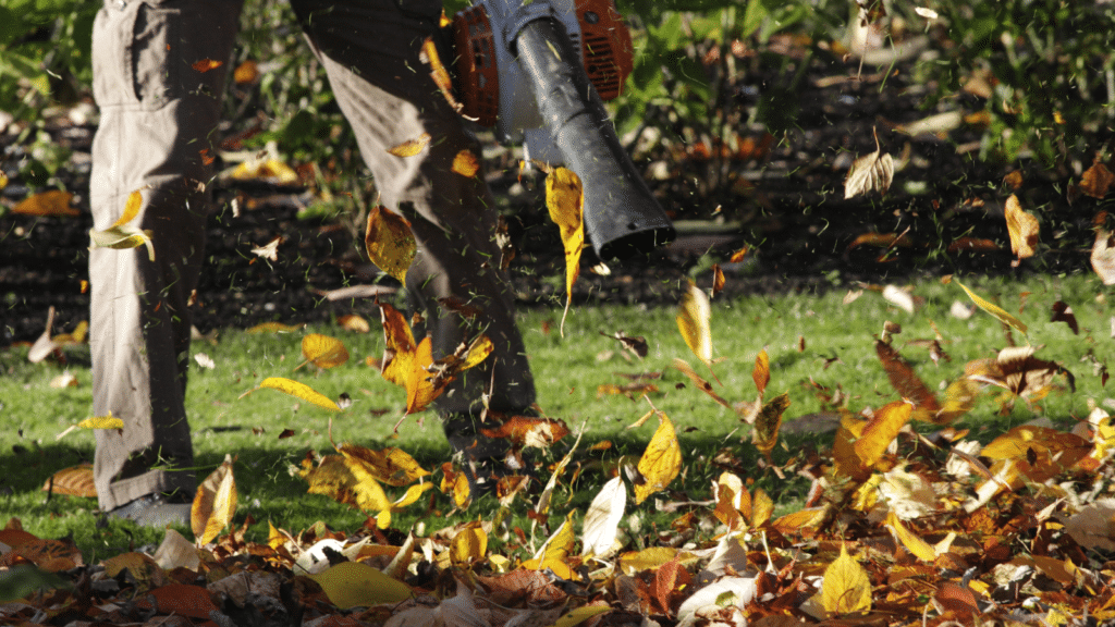 A person uses a leaf blower to clear a lawn, blowing orange and yellow leaves into the air. The background features greenery and fallen leaves.