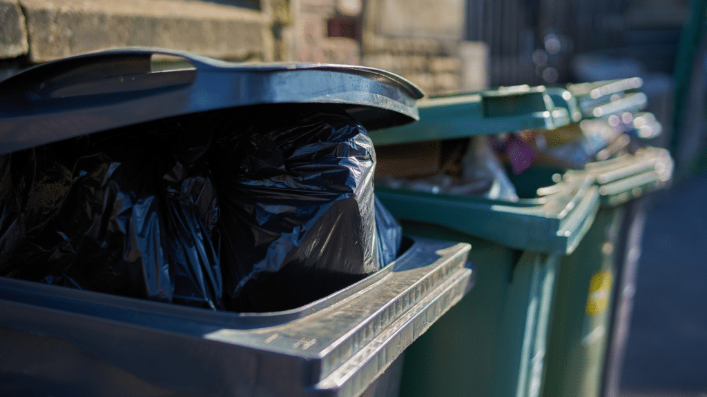 A row of green trash bins lines a street. The lid of the closest bin is partially open, revealing a black garbage bag. Sunlight casts shadows on the bins, and a stone wall is visible in the background.