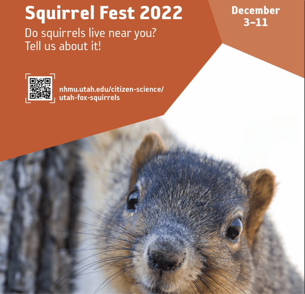 Squirrel Fest 2022 - Calendar